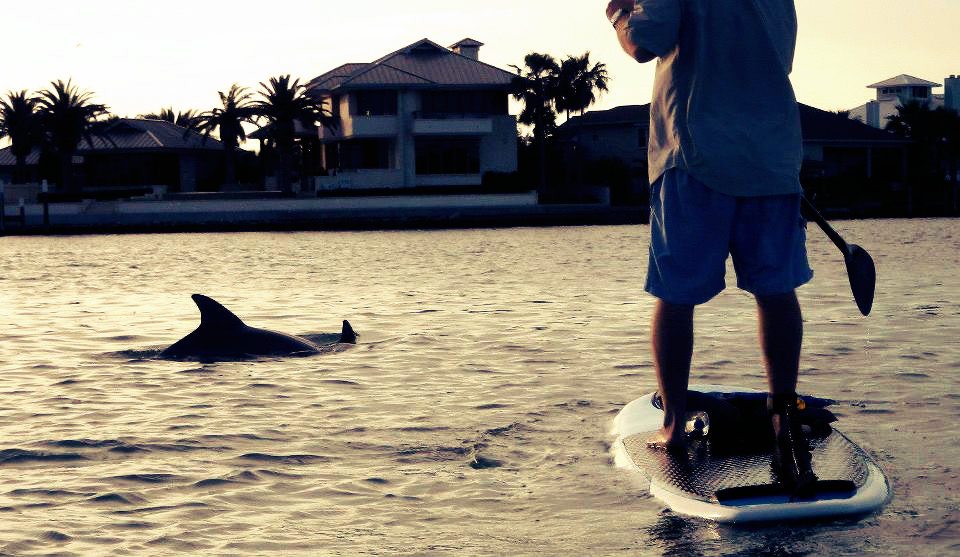 Try Stand Up Paddleboarding This Summer Drive The Nation