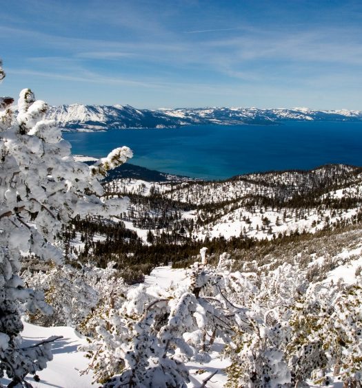 Best Cliff Diving Spots in the USA Drive The Nation