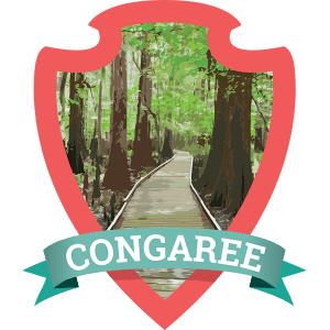 One of the newest National Parks, Congaree National Park in South Carolina is also one of the least crowded due to many not even knowing about it!