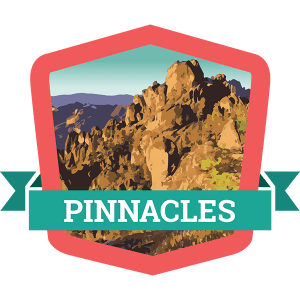 Pinnacles Badge