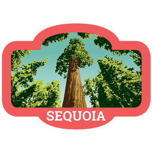 Sequoia Badge