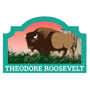 Theodore Roosevelt Badge