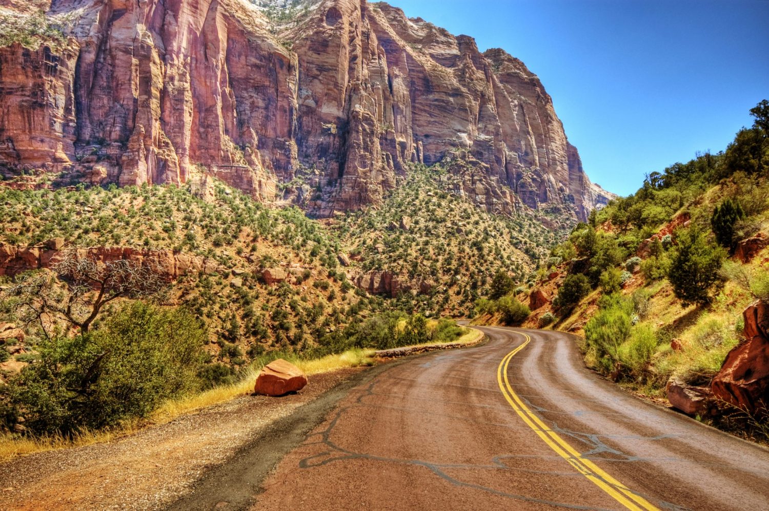 zion-national-park-drive-the-nation