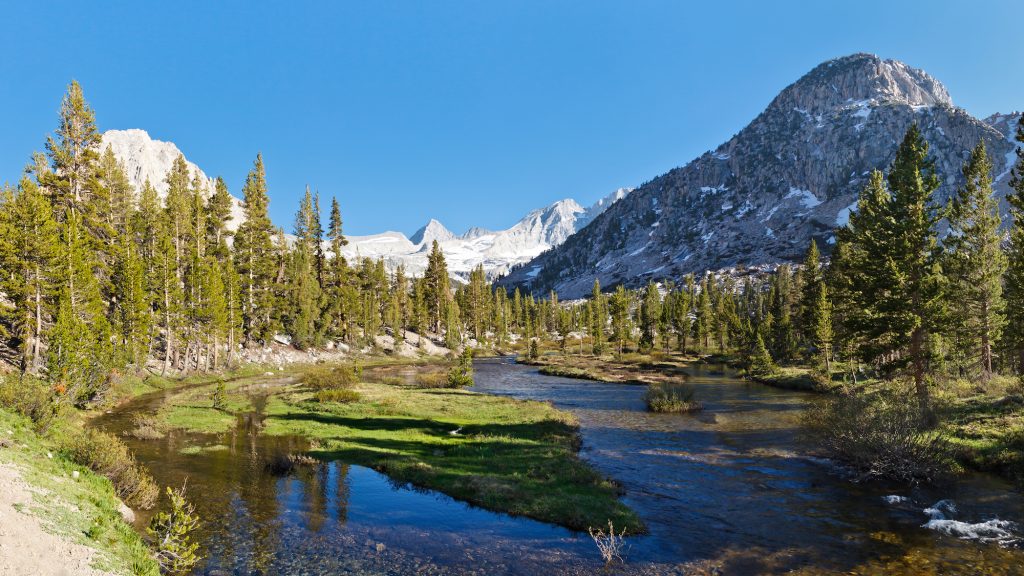 Kings Canyon National Park | Drive The Nation