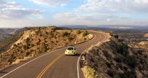 The Hogsback Road