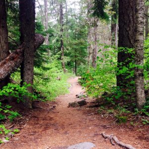 Tamanawas Falls Hike