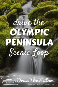 Olympic Peninsula Road Trip