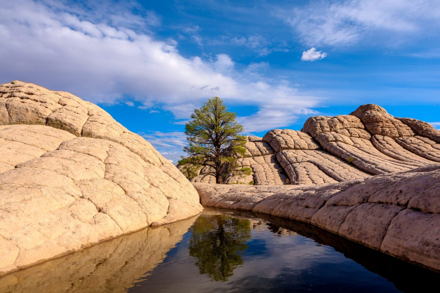 utah safety drive Vermillion Nation Monument Cliffs Drive The  National