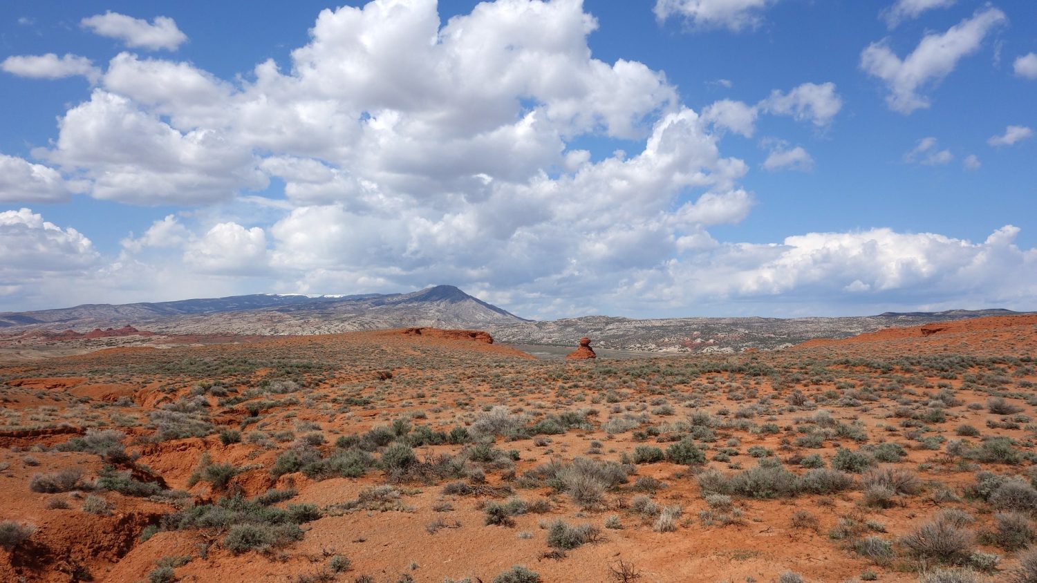 Visit Bighorn Canyon National Recreation Area | Drive The Nation