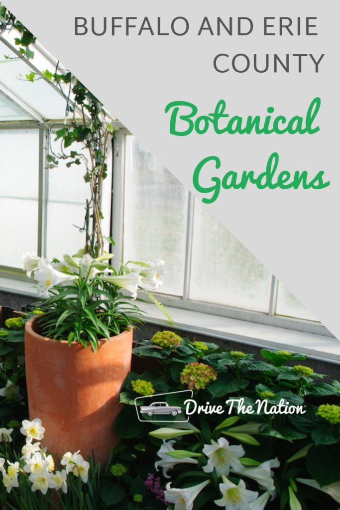 Buffalo And Erie County Botanical Gardens | Drive The Nation