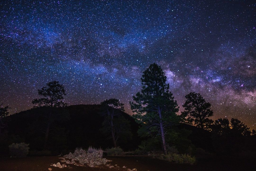 Quick Guide to Flagstaff, Arizona | Drive The Nation